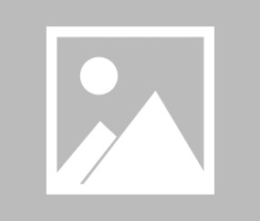 乐鱼体育-【早报】凯恩肥皂剧终结？曼城或半价拿下凯恩替身！